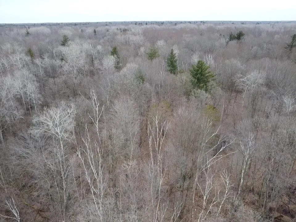 Bryce Rd Clyde, MI 48049
