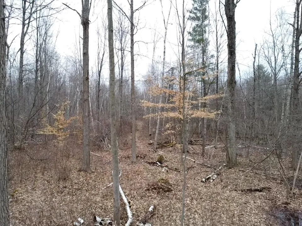 Bryce Rd Clyde, MI 48049
