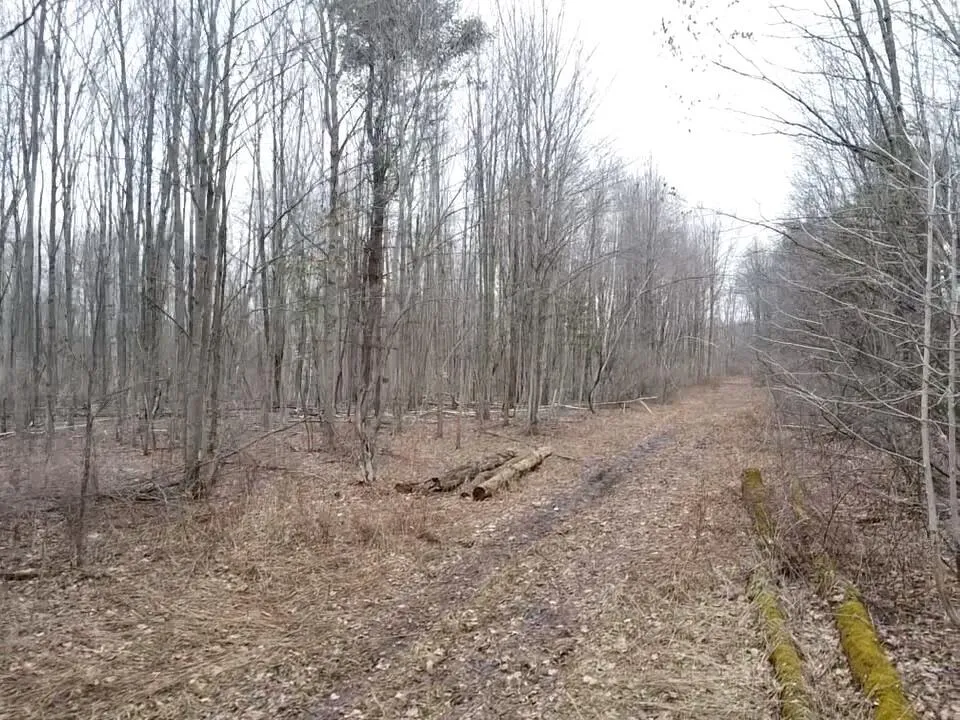 Bryce Rd Clyde, MI 48049