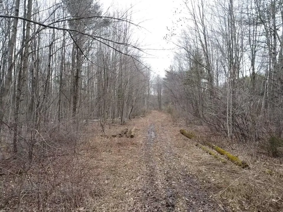 Bryce Rd Clyde, MI 48049