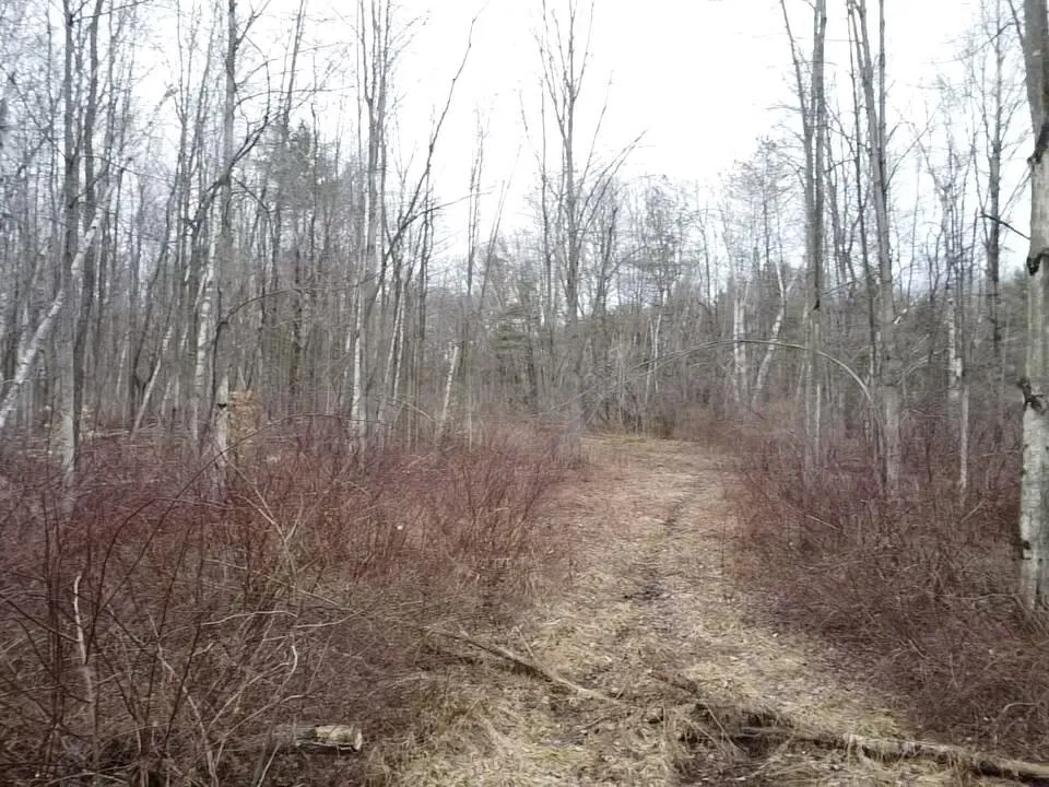 Bryce Rd Clyde, MI 48049