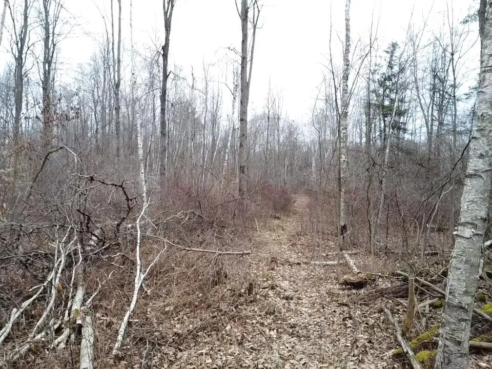 Bryce Rd Clyde, MI 48049
