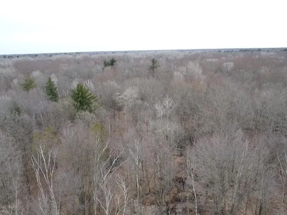 Bryce Rd Clyde, MI 48049