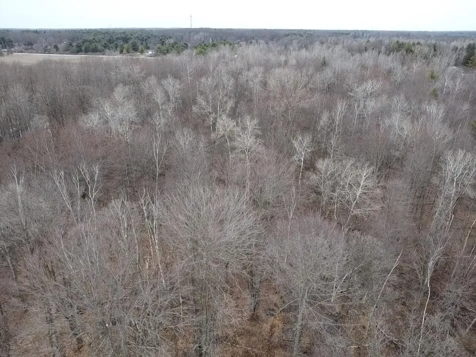 Bryce Rd Clyde, MI 48049