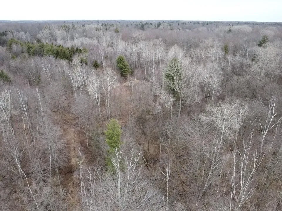 Bryce Rd Clyde, MI 48049