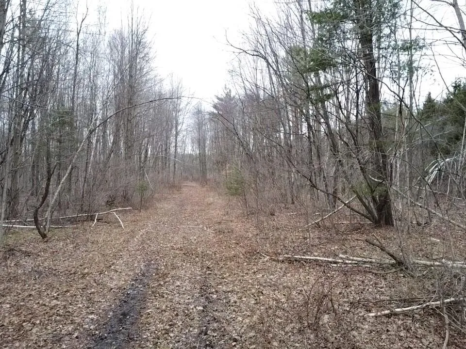 Bryce Rd Clyde, MI 48049