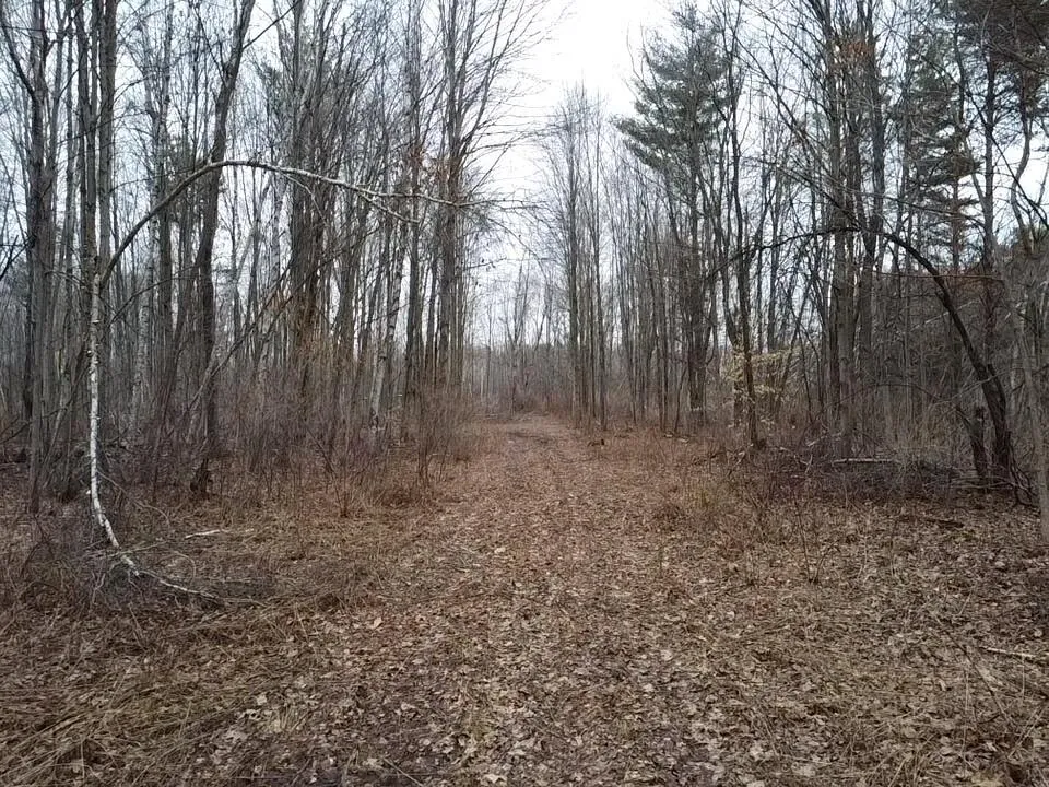 Bryce Rd Clyde, MI 48049