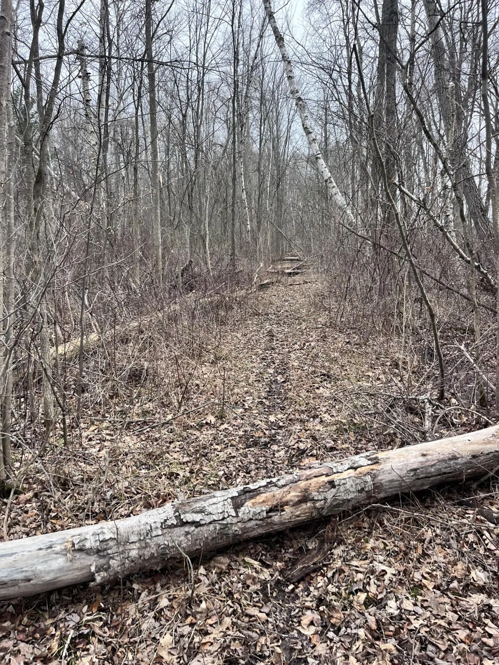Bryce Rd Clyde, MI 48049