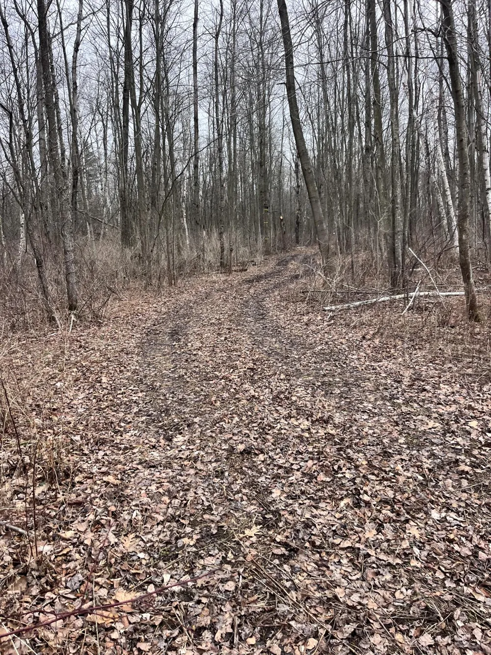 Bryce Rd Clyde, MI 48049