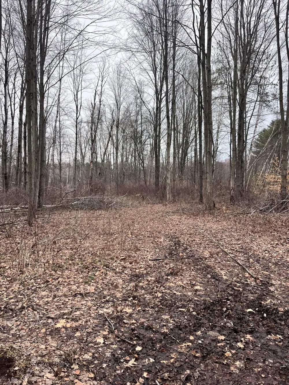 Bryce Rd Clyde, MI 48049