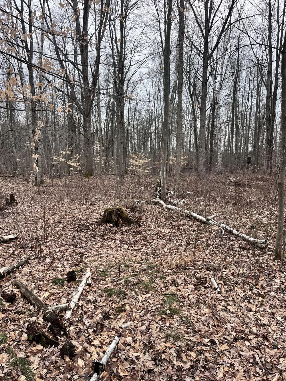 Bryce Rd Clyde, MI 48049