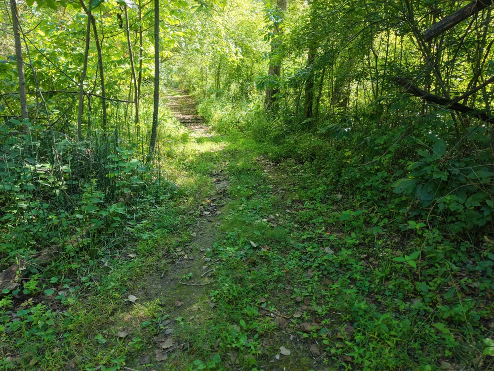 8040 W Martin Road Three Oaks, MI 49128