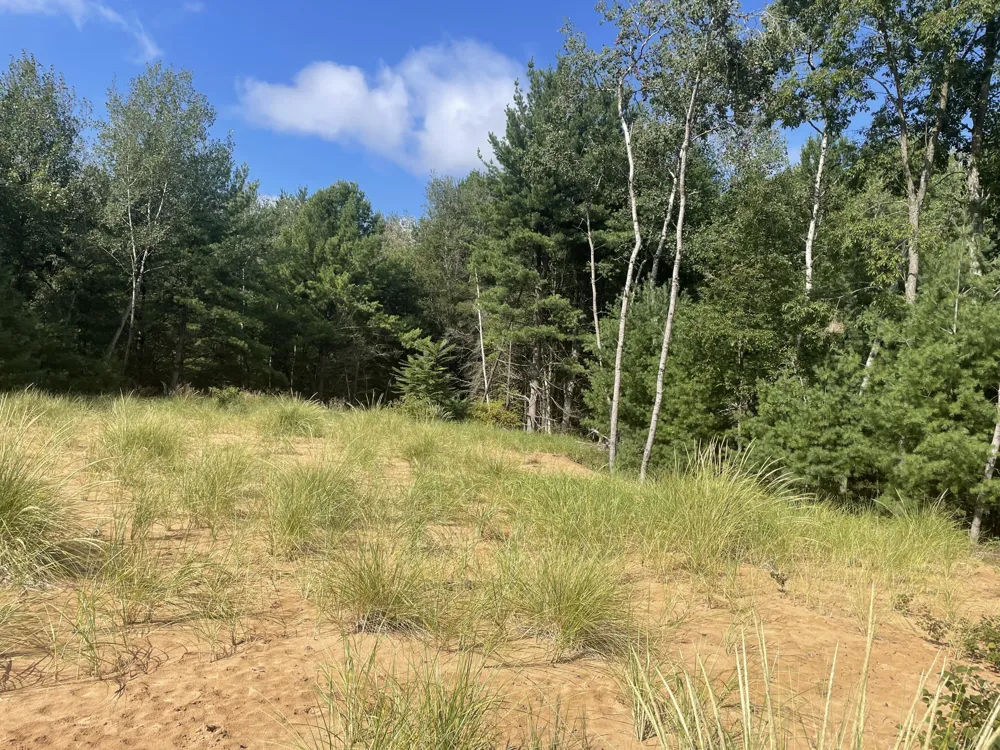6367 Dune Grass Trail Hart, MI 49420