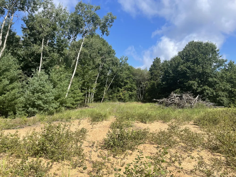 6367 Dune Grass Trail Hart, MI 49420