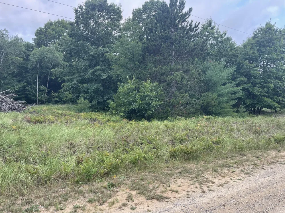 6367 Dune Grass Trail Hart, MI 49420