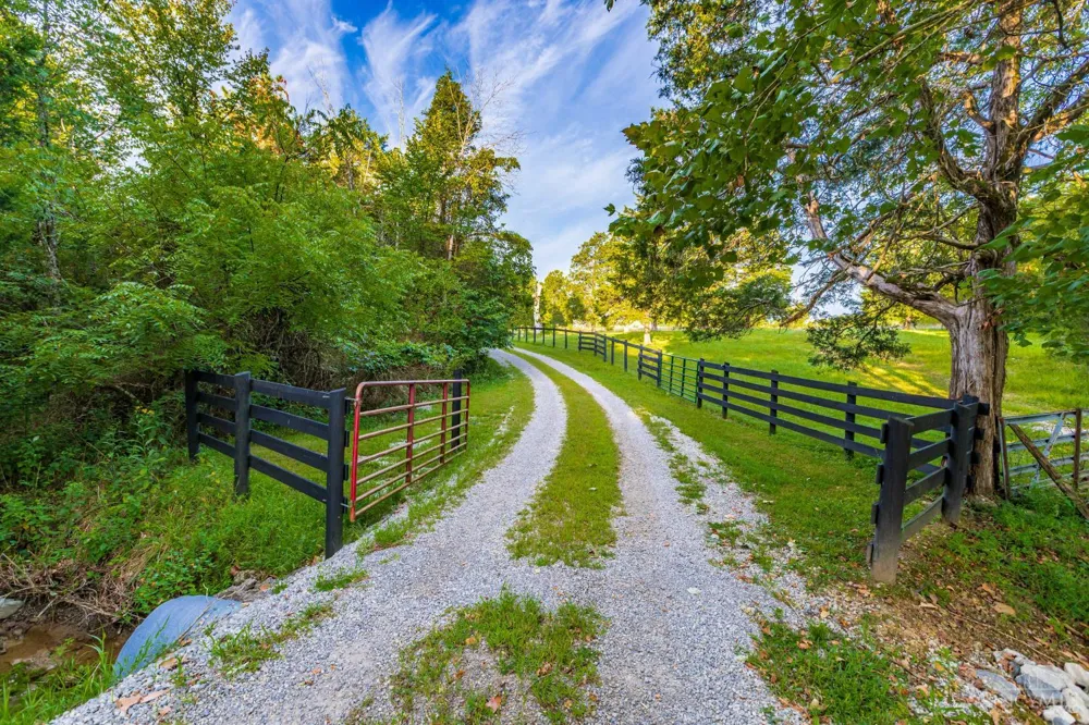 1573 Cedar Mills Road Blue Creek, OH 45616