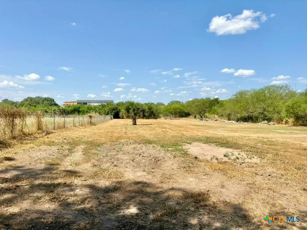 134 E North Street Goliad, TX 77963