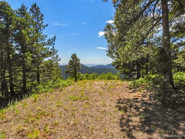 276 Crystal Park Road Manitou Springs, CO 80829