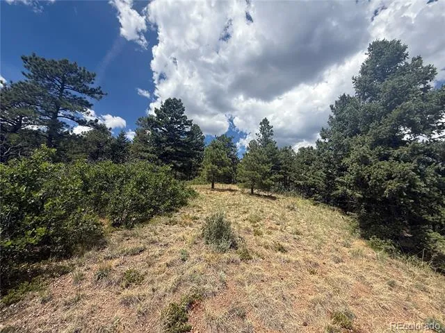 276 Crystal Park Road Manitou Springs, CO 80829