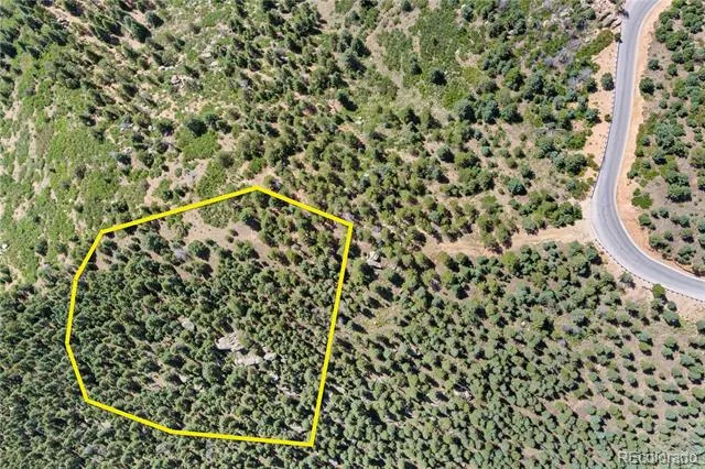 276 Crystal Park Road Manitou Springs, CO 80829