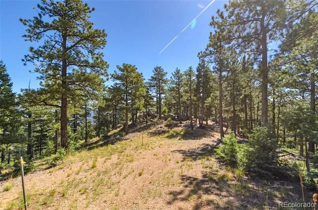 276 Crystal Park Road Manitou Springs, CO 80829
