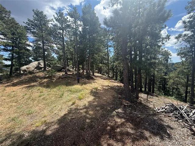 276 Crystal Park Road Manitou Springs, CO 80829