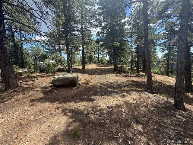 276 Crystal Park Road Manitou Springs, CO 80829