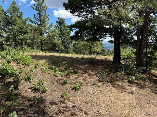 276 Crystal Park Road Manitou Springs, CO 80829