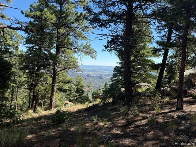 276 Crystal Park Road Manitou Springs, CO 80829
