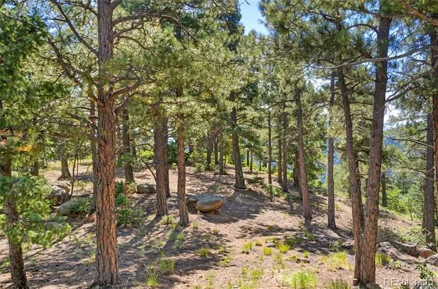 276 Crystal Park Road Manitou Springs, CO 80829