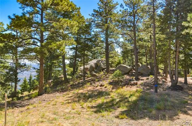 276 Crystal Park Road Manitou Springs, CO 80829