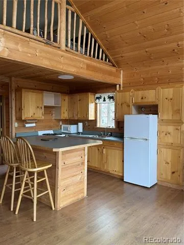 1049 Spencer Mountain Road Bellvue, CO 80512
