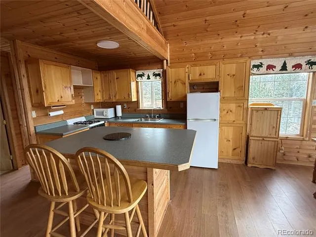 1049 Spencer Mountain Road Bellvue, CO 80512