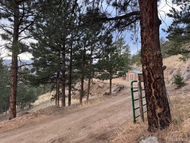 1049 Spencer Mountain Road Bellvue, CO 80512