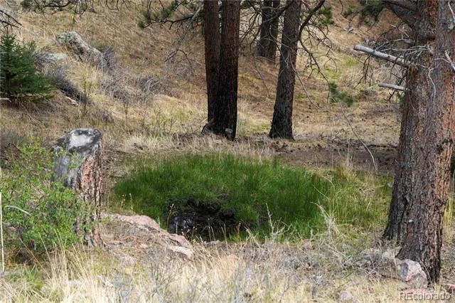 1049 Spencer Mountain Road Bellvue, CO 80512