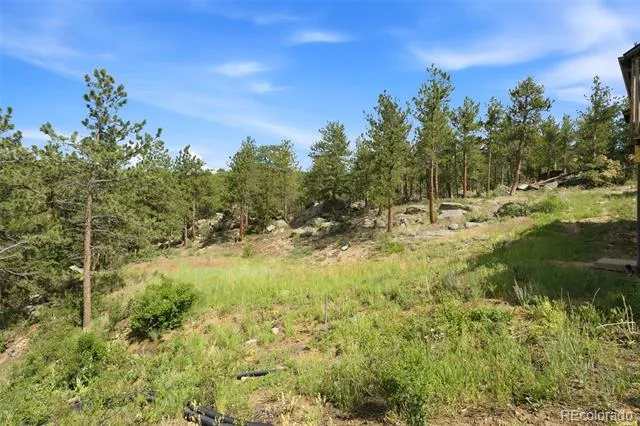 200 Rocky Knob Lane Nederland, CO 80466