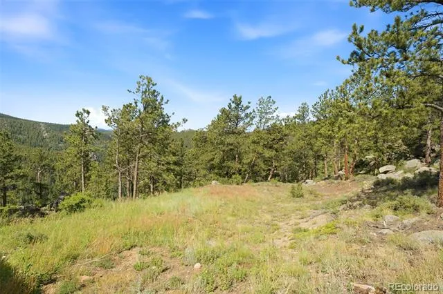 200 Rocky Knob Lane Nederland, CO 80466