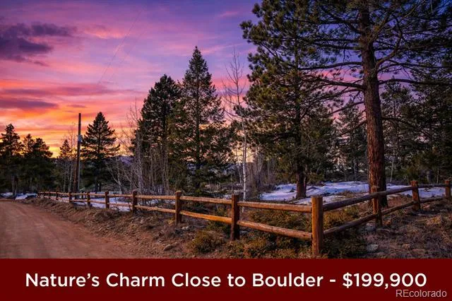 815 Cougar Run Nederland, CO 80466