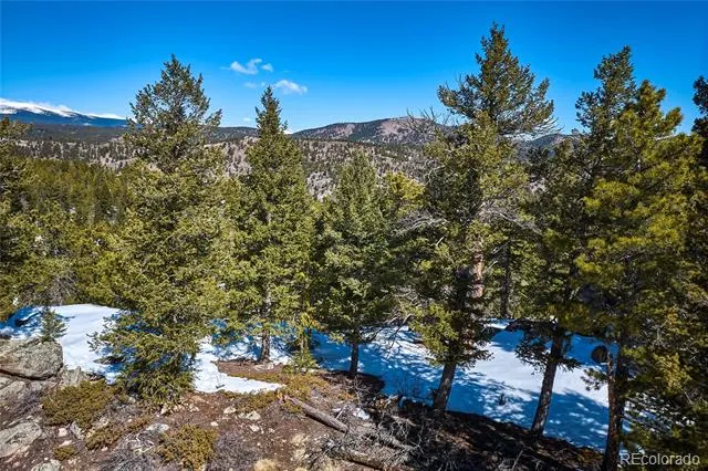 815 Cougar Run Nederland, CO 80466