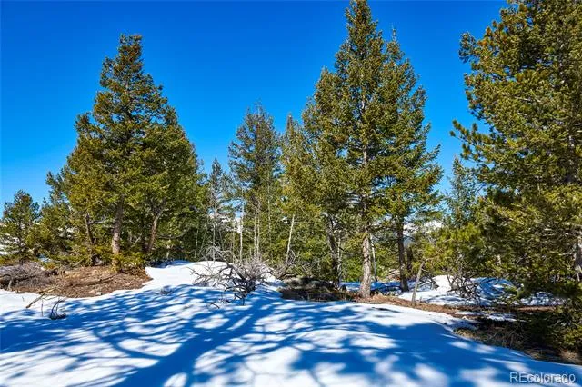 815 Cougar Run Nederland, CO 80466