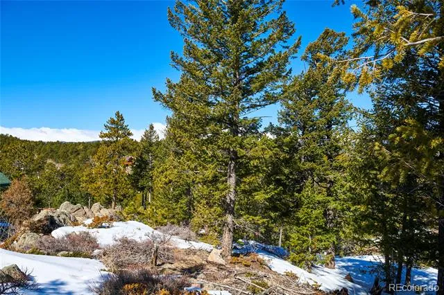 815 Cougar Run Nederland, CO 80466