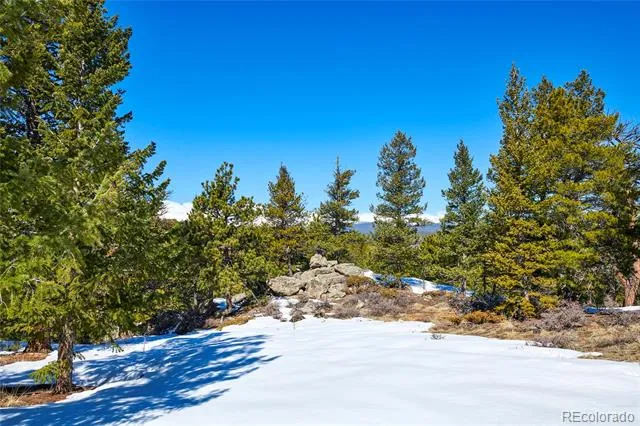 815 Cougar Run Nederland, CO 80466