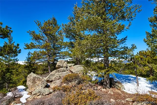 815 Cougar Run Nederland, CO 80466