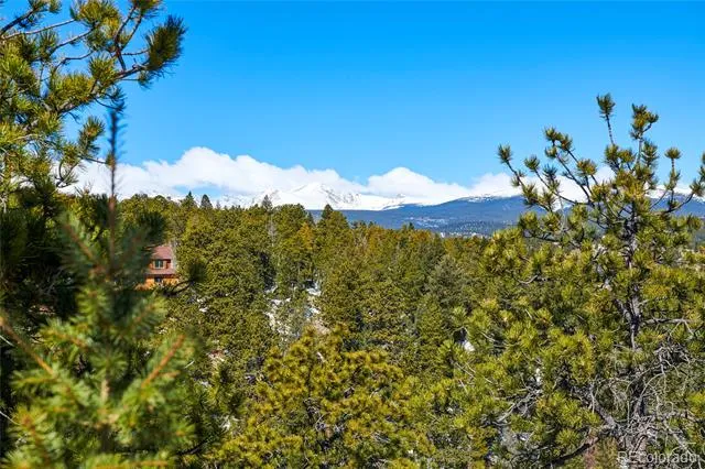 815 Cougar Run Nederland, CO 80466