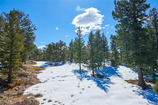 815 Cougar Run Nederland, CO 80466