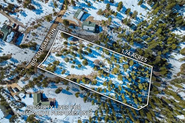 815 Cougar Run Nederland, CO 80466