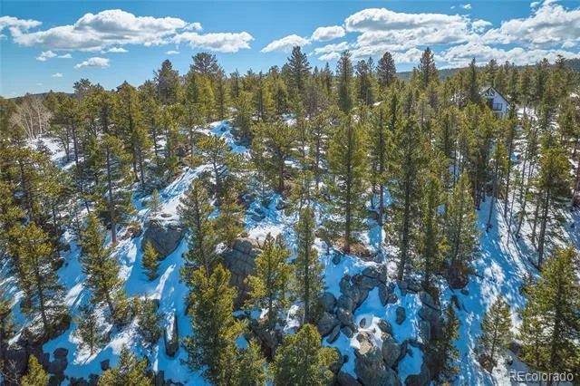 815 Cougar Run Nederland, CO 80466