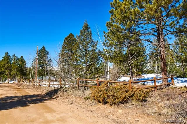 815 Cougar Run Nederland, CO 80466