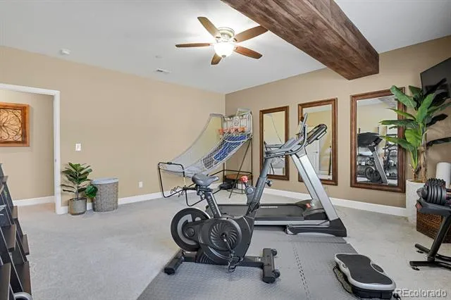 5074 Covelo Drive Castle Rock, CO 80108