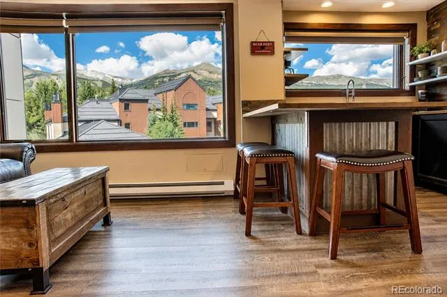 535 S Park Avenue #412 Breckenridge, CO 80424